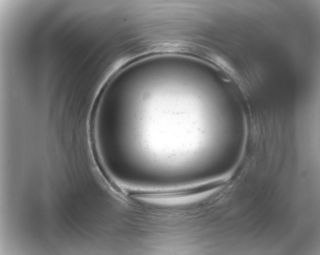 X0000066081283200603131128