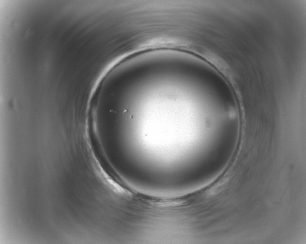 X0000066081296200603131128
