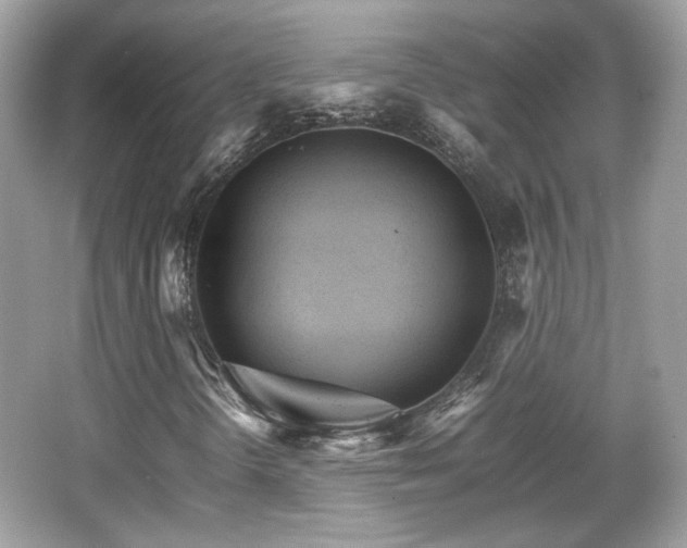 X0000066081298200603131127