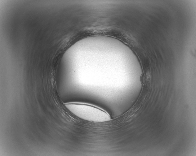 X0000066081300200603131127
