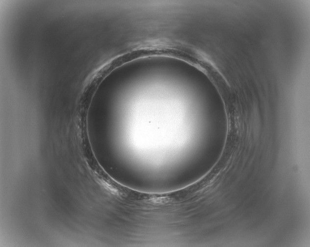 X0000066081304200603131127
