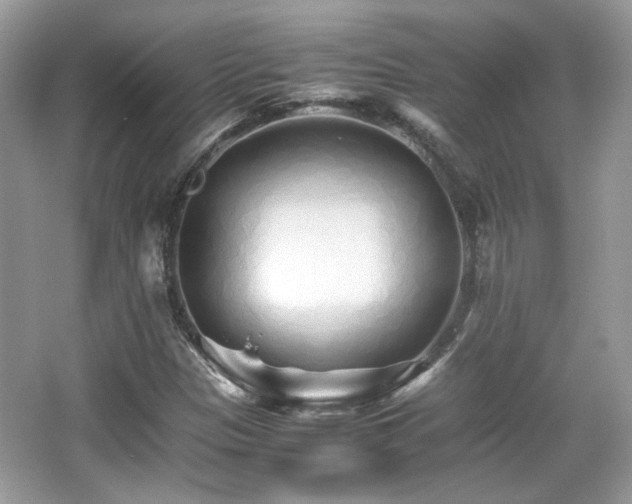 X0000066081305200603131127