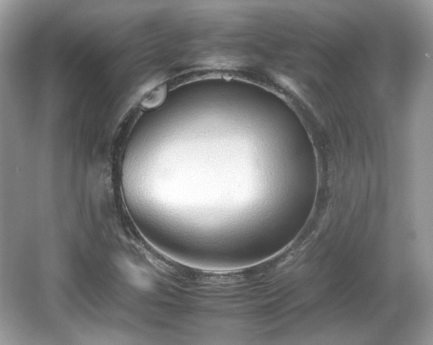 X0000066081307200603131127