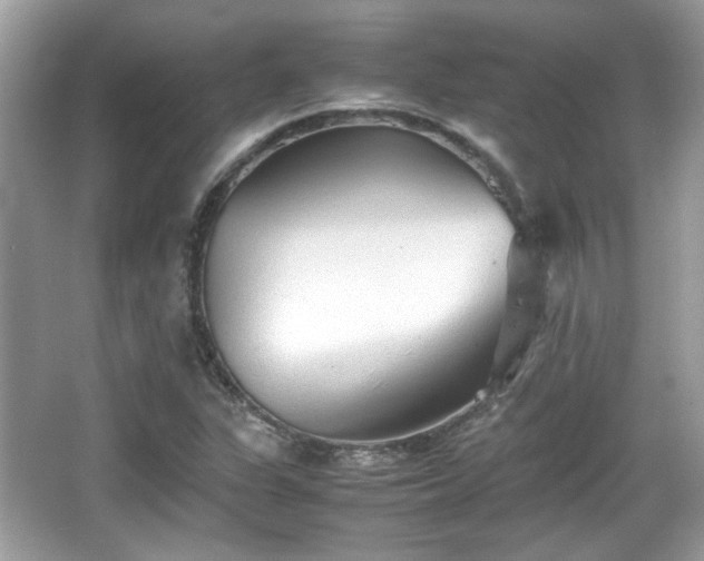 X0000066081311200603131127
