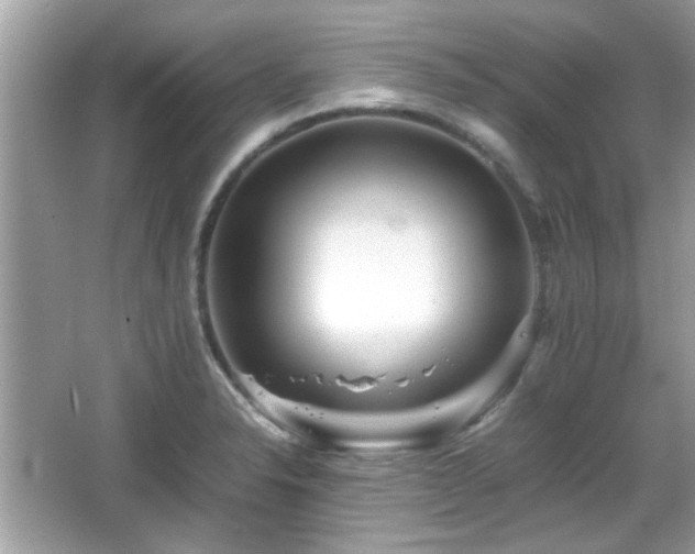 X0000066081326200603131128