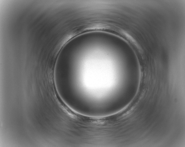 X0000066081329200603131128