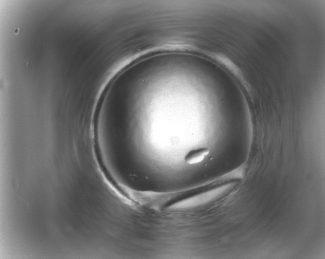 X0000066081335200603131128