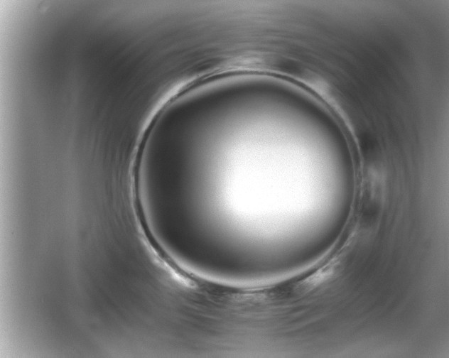 X0000066081341200603131128