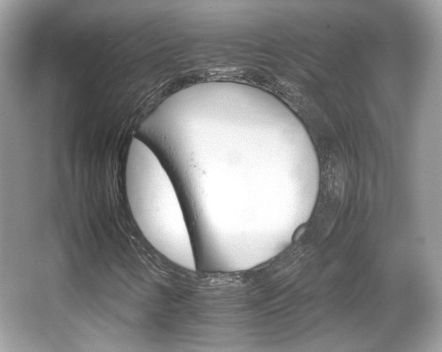 X0000066081346200603131127