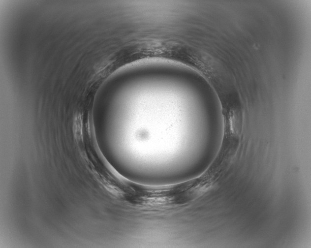 X0000066081347200603131127