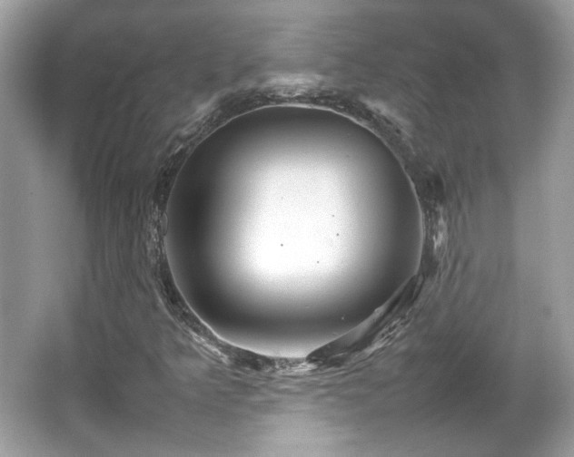X0000066081349200603131127