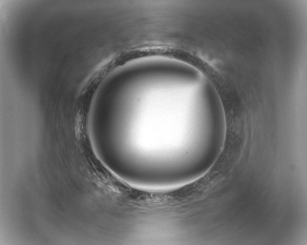 X0000066081351200603131127