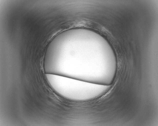 X0000066081353200603131127