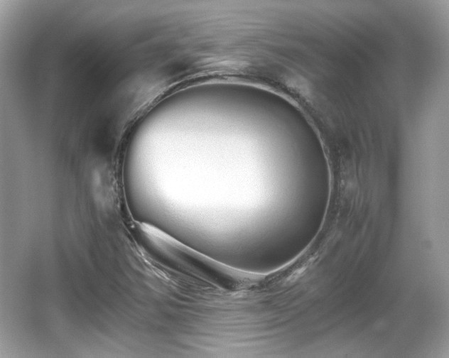 X0000066081354200603131127