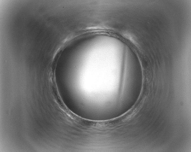 X0000066081357200603131127