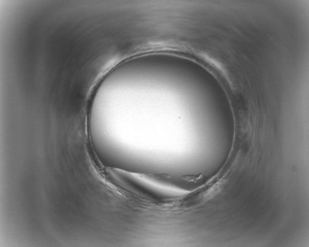 X0000066081365200603131127