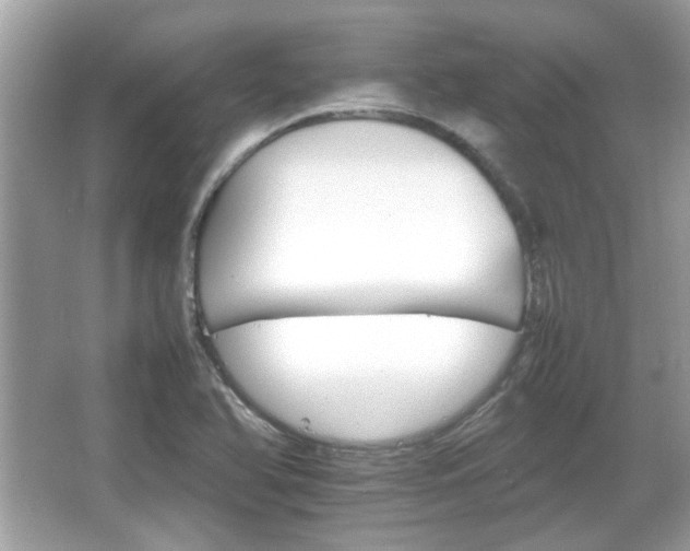 X0000066081366200603131127