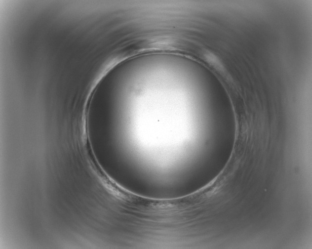 X0000066081370200603131127