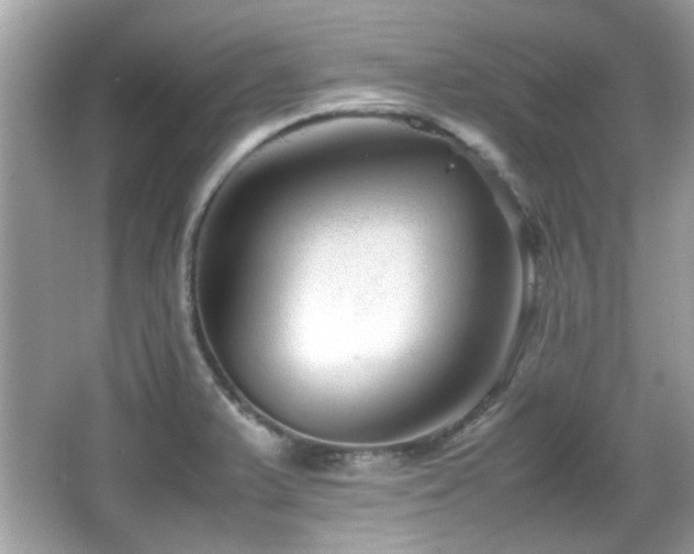 X0000066081375200603131127