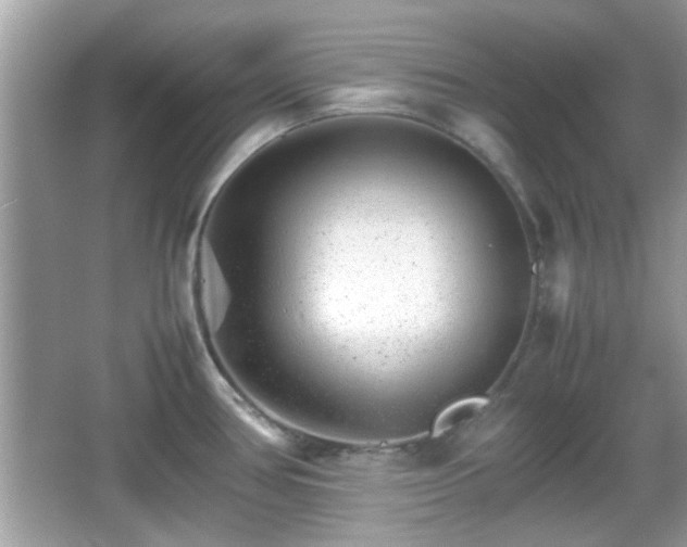 X0000066081386200603131126