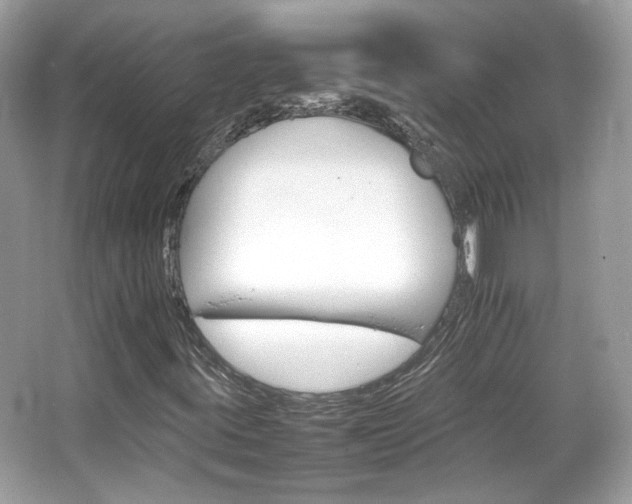 X0000066081395200603131126