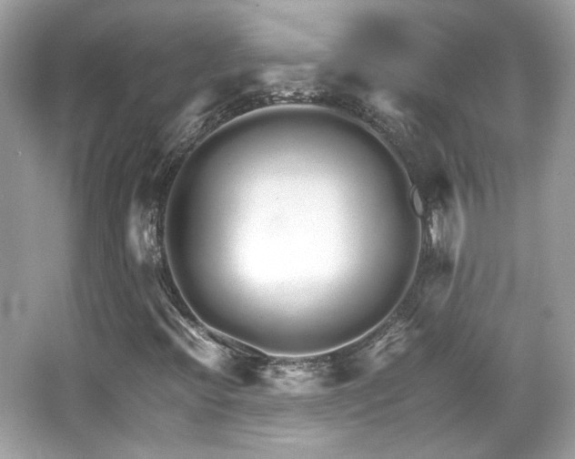 X0000066081396200603131126
