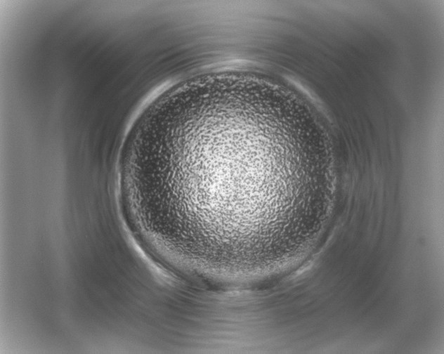 X0000066081418200603131126