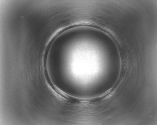 X0000066081422200603131126