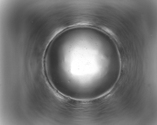 X0000066081423200603131126