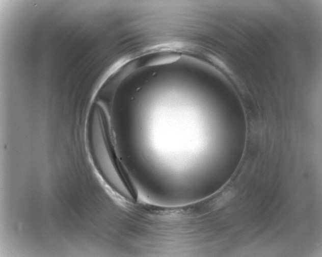 X0000066081426200603131126