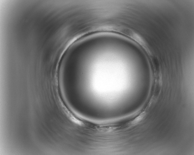 X0000066081436200603131126