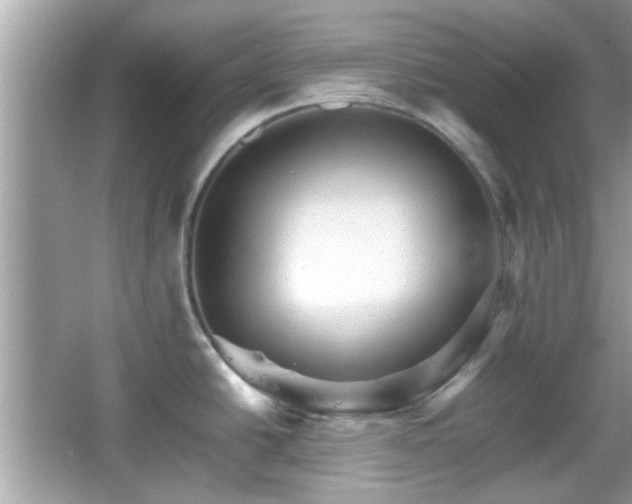 X0000066081438200603131126
