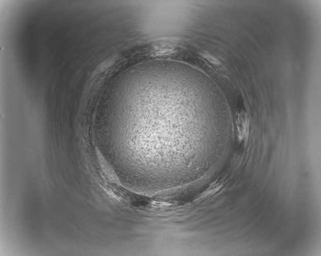 X0000066081441200603131125