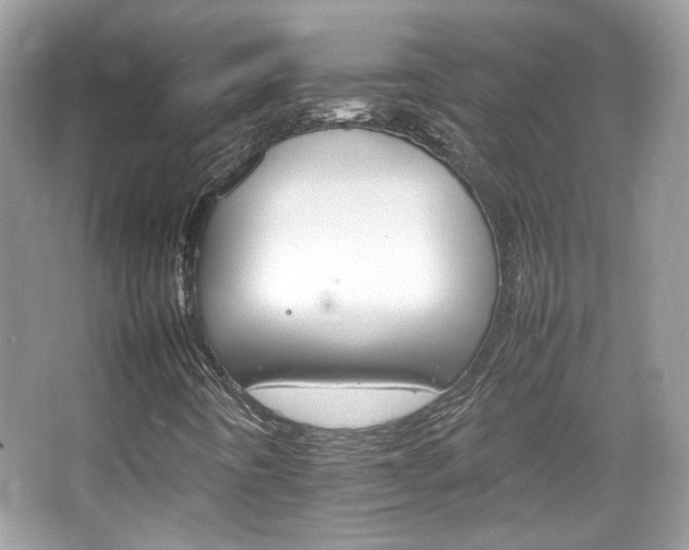X0000066081442200603131125