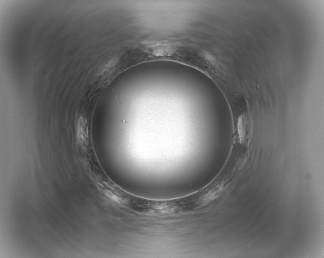X0000066081443200603131125