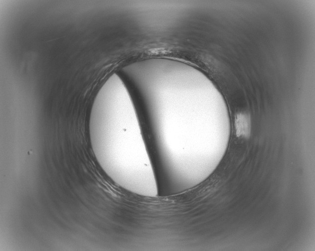 X0000066081444200603131125