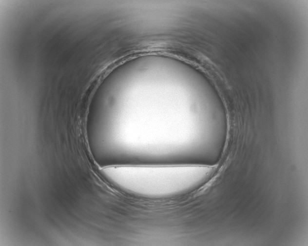 X0000066081449200603131125