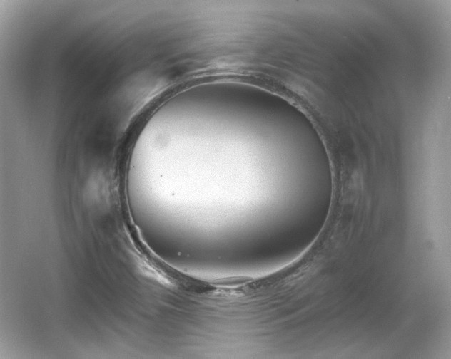 X0000066081450200603131125