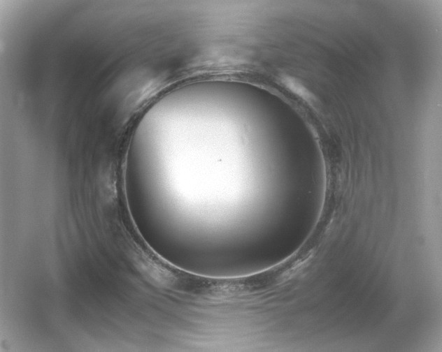 X0000066081451200603131125