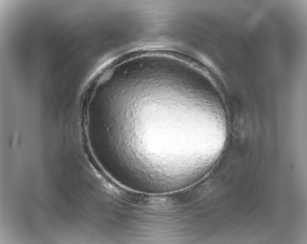 X0000066081456200603131125