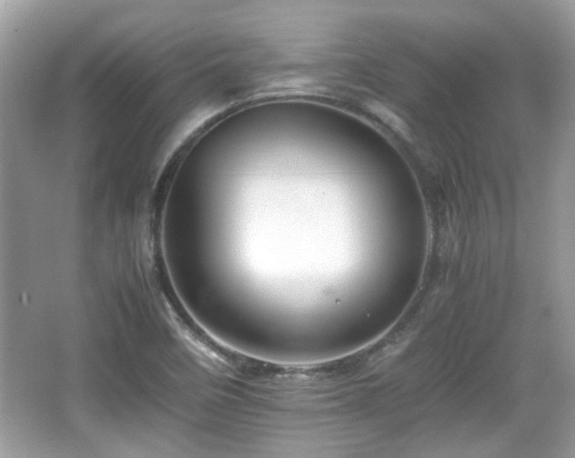 X0000066081458200603131125