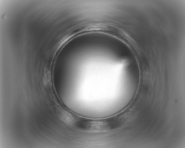 X0000066081465200603131125