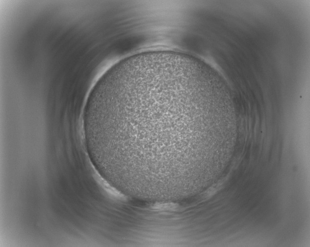 X0000066081466200603131125