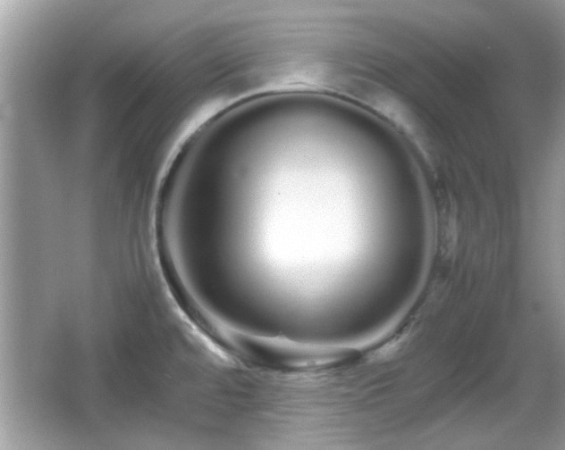 X0000066081480200603131125