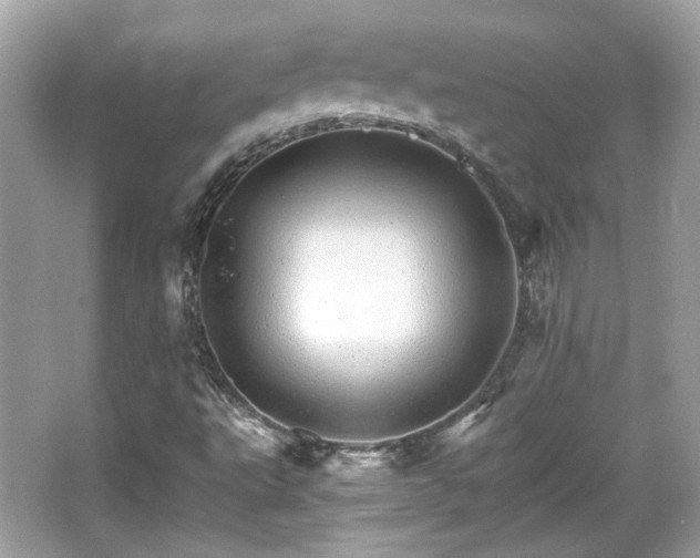 X0000066081495200603131124