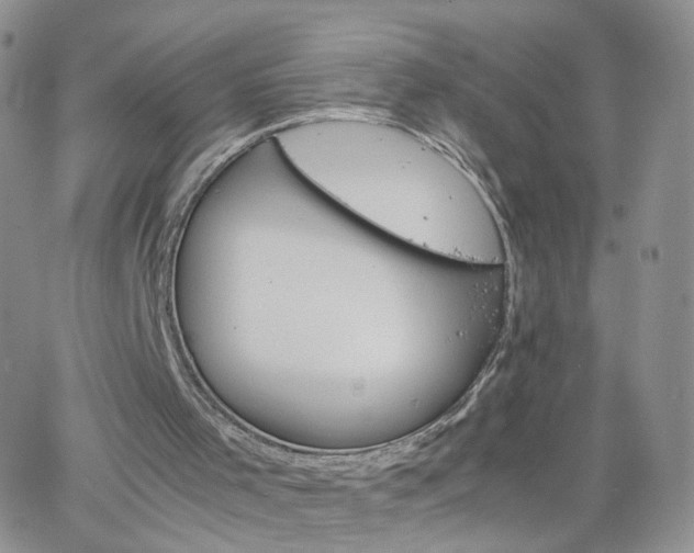 X0000066080001200603171042