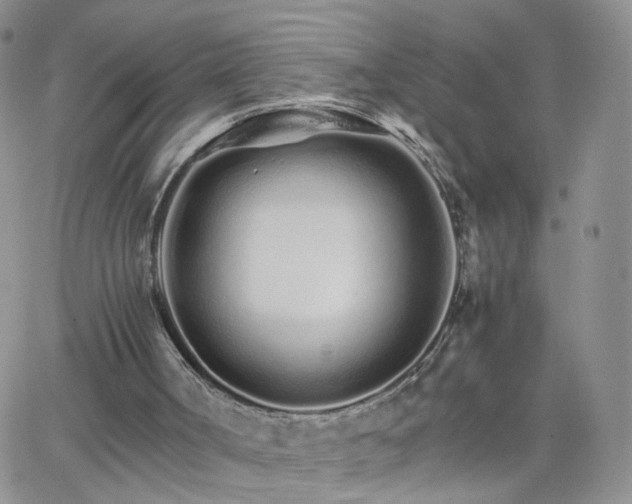 X0000066080002200603171042