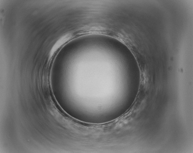 X0000066080004200603171042