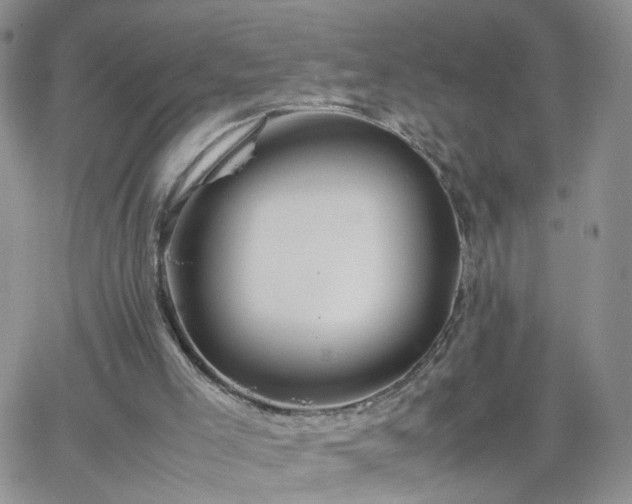 X0000066080005200603171042