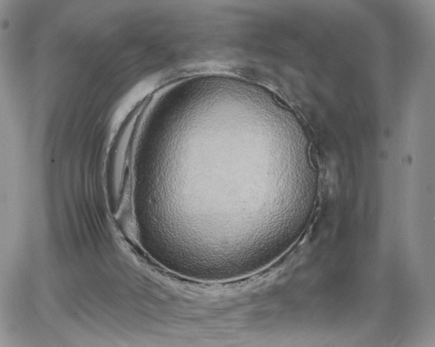 X0000066080006200603171042